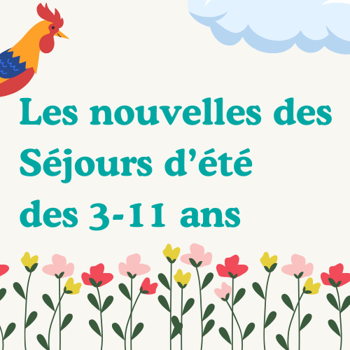 Actu site web alsh été 2025